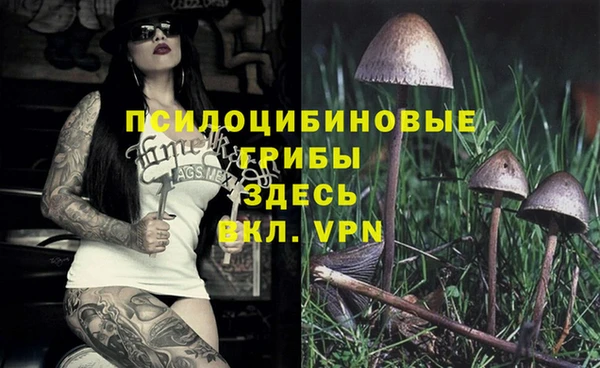 PSILOCYBIN Горняк