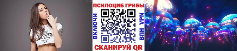 продажа наркотиков Далматово Галлюциногенные грибы мицелий
